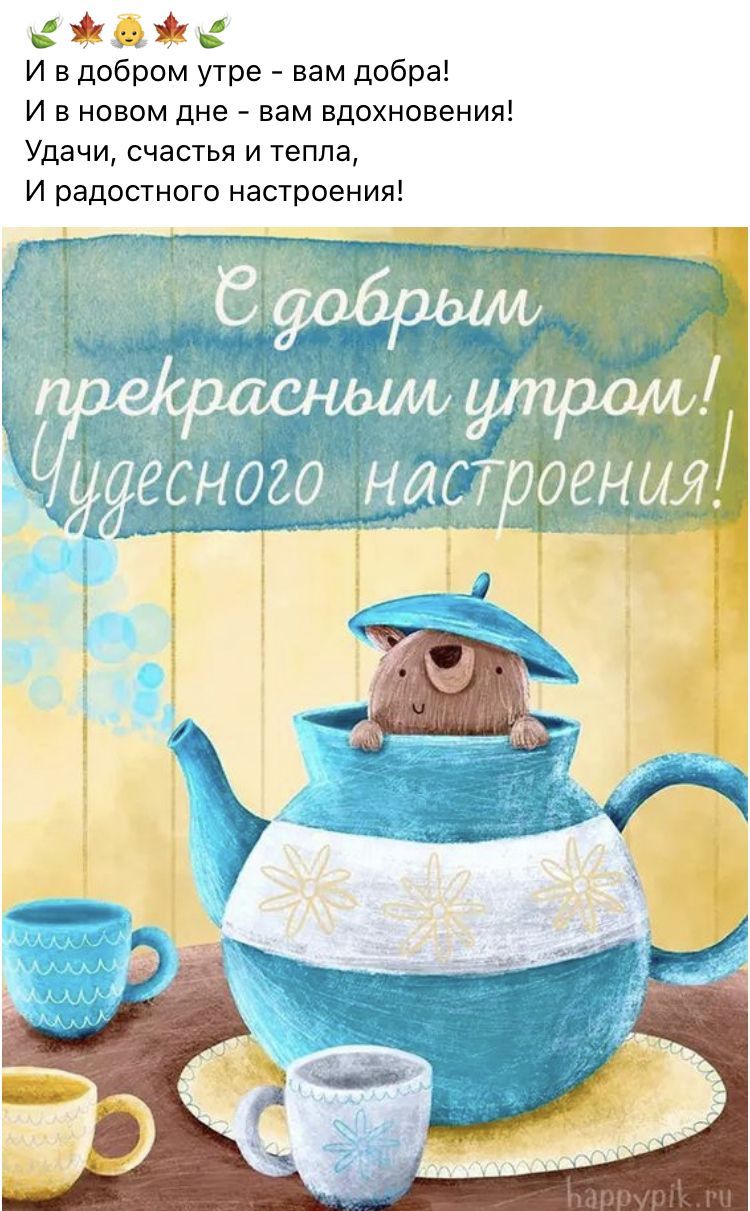 Открытка «С добрым утром»: С добрым утром: тепло, уют и хорошее настроение. Тэги: животное, пожелание, позитивная…