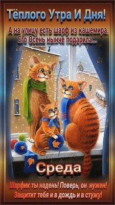 Открытка «С добрым утром»: Теплого утра и дня! Уютные котики желают тепла. Тэги: хорошего дня, кот, животное, пожелан…