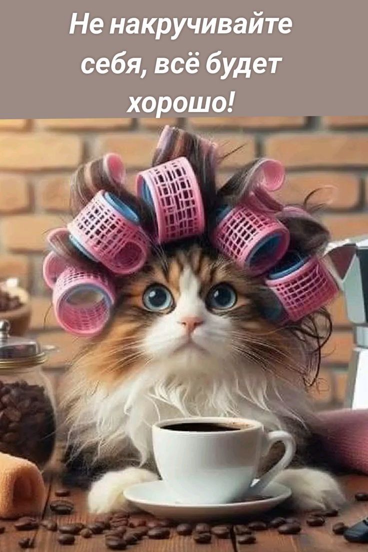 Открытка «С добрым утром»: Утро с котом в бигудях: не волнуйтесь, всё хорошо!. Тэги: кот, животное, пожелание, позити…