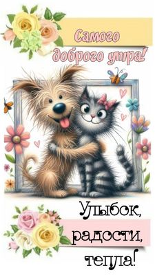Открытка «С добрым утром»: Пушистое доброе утро: улыбок и тепла!. Тэги: кот, пожелание, позитивная, отличное настроен…