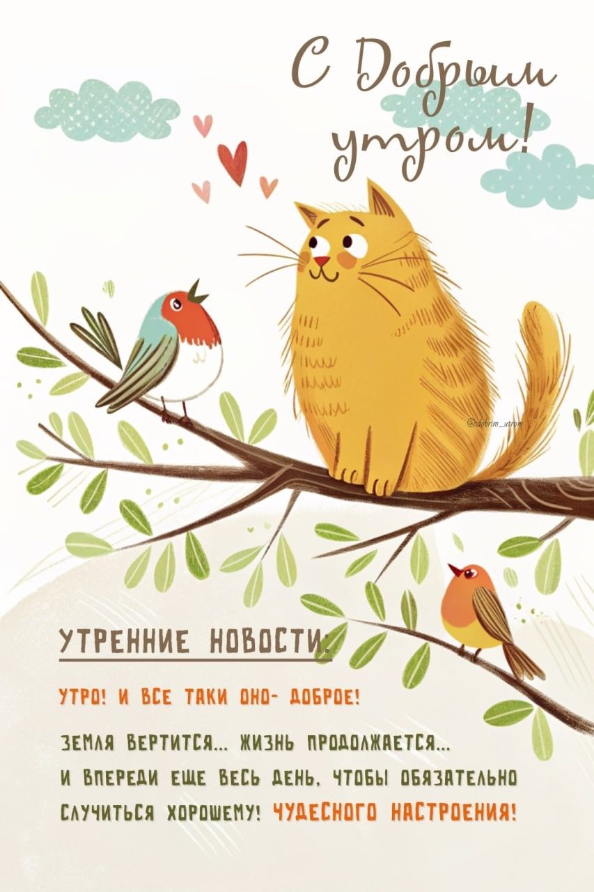 Открытка «С добрым утром»: Доброе утро: Кот, птицы и утренние новости!. Тэги: Добрый день, С добрым, летним утром…