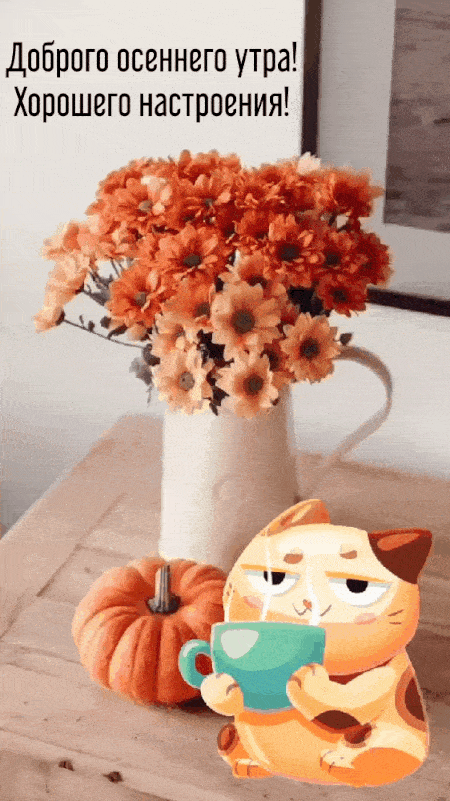 Открытка «С добрым утром»: Доброго осеннего утра с уютным котом и цветами. Тэги: хорошего дня, кот, пожелание, позити…