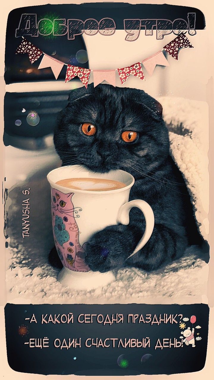 Открытка «С добрым утром»: Доброе утро: Кот, кофе и счастливый день!. Тэги: С добрым утром, для поднятия настроением!…
