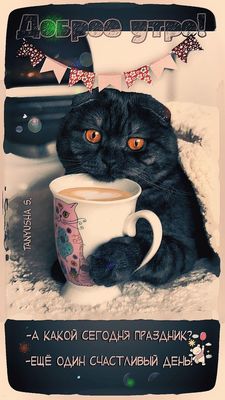 Открытка «С добрым утром»: Доброе утро: Кот, кофе и счастливый день!. Тэги: С добрым утром, для поднятия настроением!…