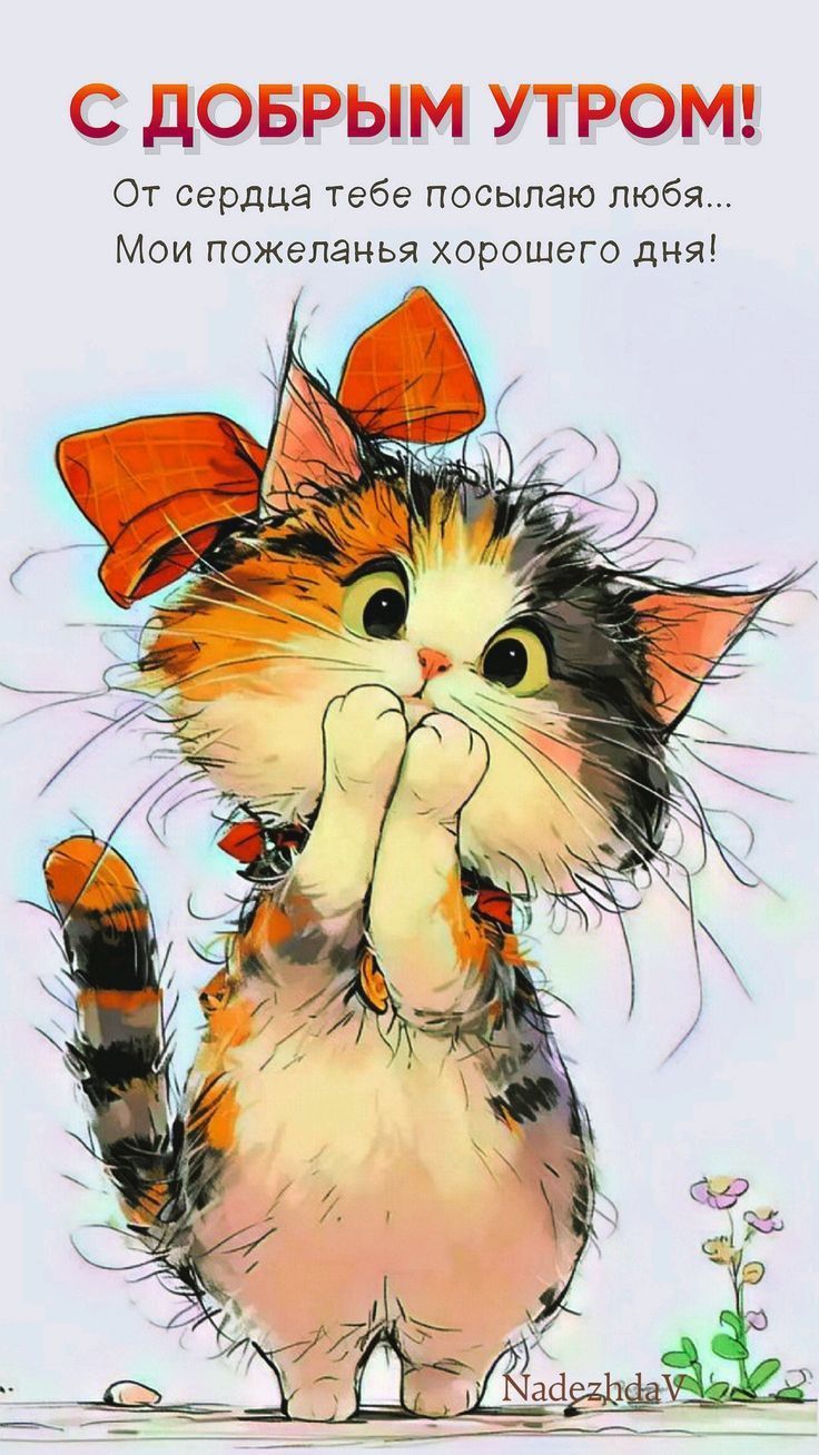 Открытка «С добрым утром»: Милый котик желает Доброго Утра и хорошего дня!. Тэги: С добрым утром, для поднятия настро…