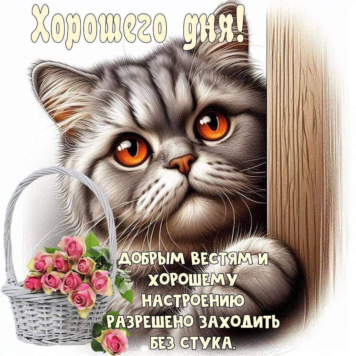 Открытка «С добрым утром»: Хорошего дня с милым котиком и добрыми вестями. Тэги: кот, животное, пожелание, утро…