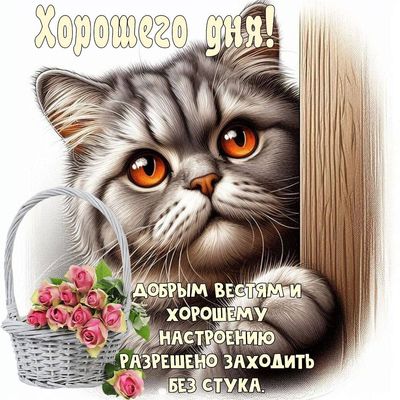 Открытка «С добрым утром»: Хорошего дня с милым котиком и добрыми вестями. Тэги: кот, животное, пожелание, утро…