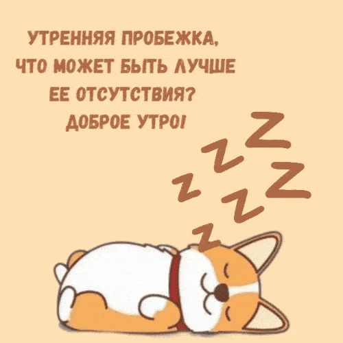 Открытка «С добрым утром»: С добрым утром! Сон вместо утренней пробежки. Тэги: С добрым утром, для поднятия настроени…