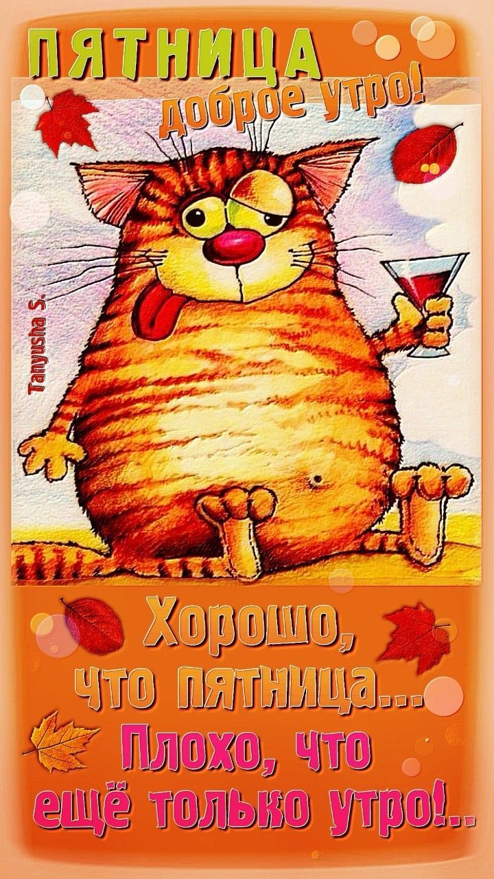 Открытка «С добрым утром»: Доброе утро пятницы: кот с коктейлем и юмором. Тэги: С добрым осенним утром, С добрым утро…