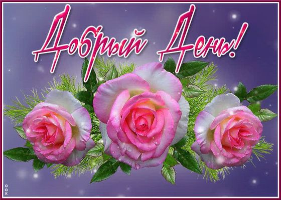 Открытка «Пожелание»: Добрый день! Нежные розы для прекрасного настроения. Тэги: позитивная, красивая, добрый день…