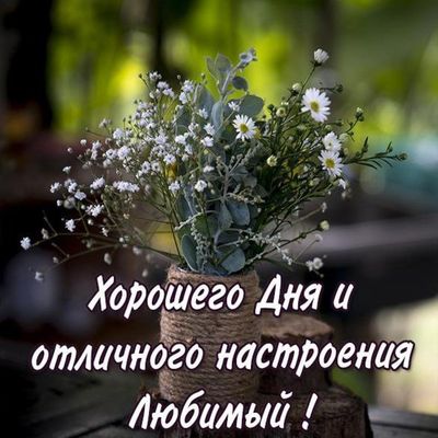 Открытка «Пожелание»: Нежный букет и пожелание хорошего дня для любимого. Тэги: позитивная, хорошего дня, отличное на…
