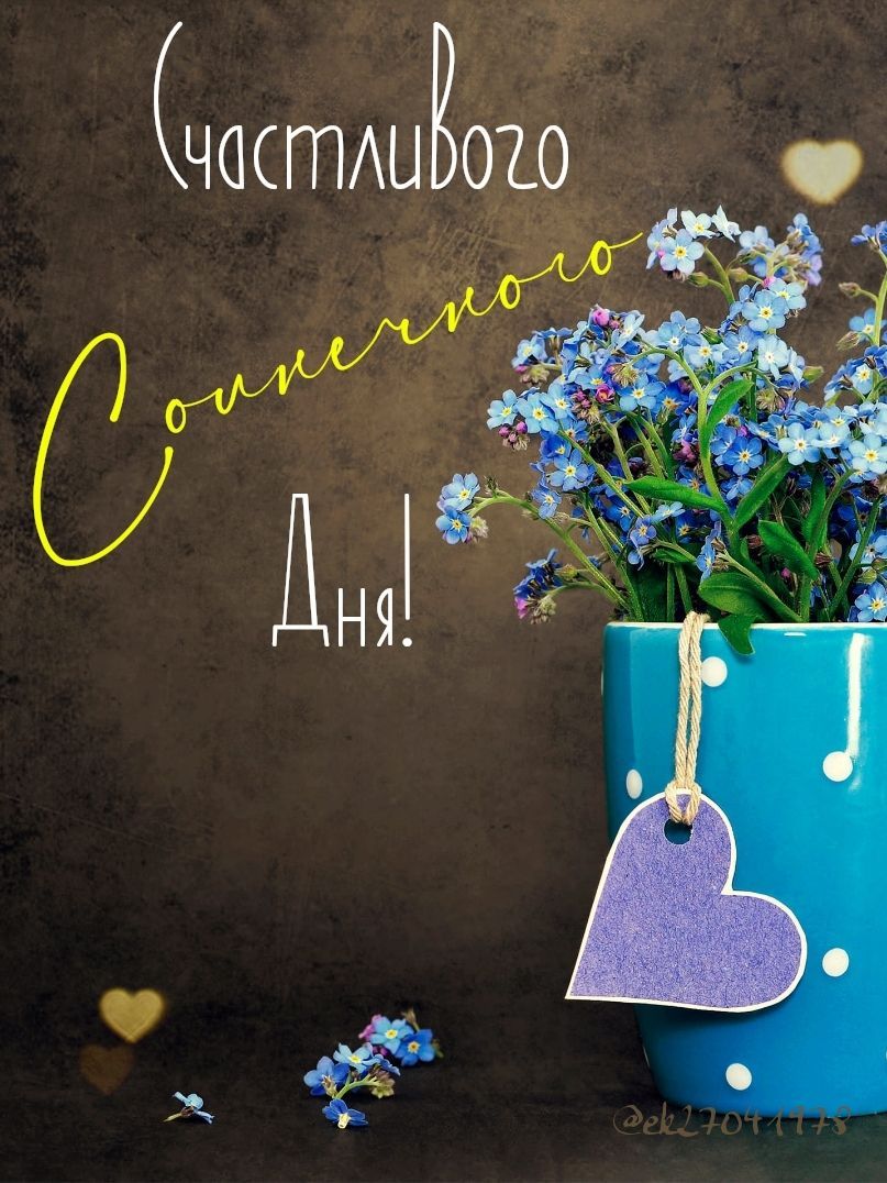 Открытка «Пожелание»: Счастливого солнечного дня: нежность незабудок. Тэги: позитивная, хорошего дня, отличное настро…