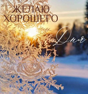 Открытка «С добрым утром»: Морозные узоры и лучи солнца: Желаю хорошего дня!. Тэги: пожелание, позитивная, хорошего д…