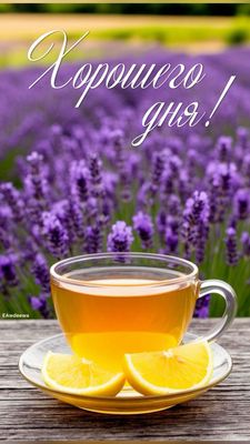 Открытка «Пожелание»: Хорошего дня: чай, лимон и лавандовое поле. Тэги: позитивная, хорошего дня, отличное настроение…