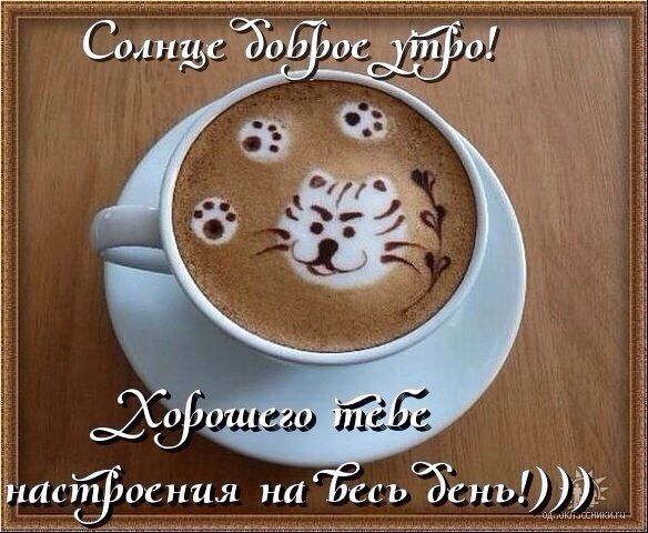 Открытка «С добрым утром»: Замурчательного утра и настроения на весь день!. Тэги: животное, пожелание, позитивная…