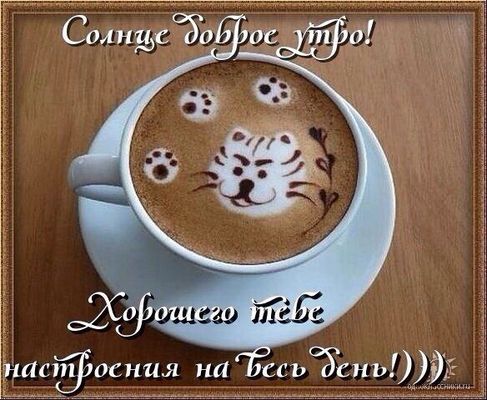 Открытка «С добрым утром»: Замурчательного утра и настроения на весь день!. Тэги: животное, пожелание, позитивная…