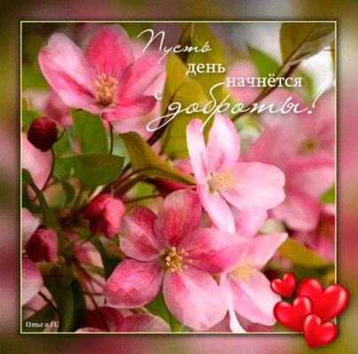 Открытка «С добрым утром»: Пусть день начнётся с доброты!. Тэги: пожелание, позитивная, утро, красивая, хорошее настр…