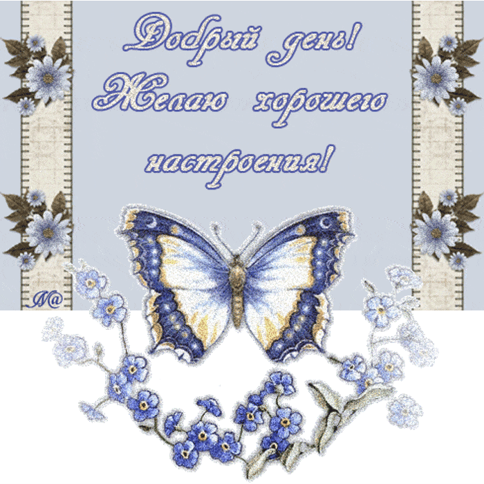 Открытка «Пожелание»: Добрый день и хорошее настроение!. Тэги: позитивная, друг, подруга, красивая, хорошее настроение…