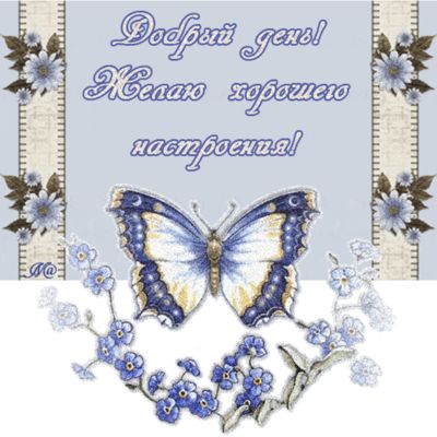 Открытка «Пожелание»: Добрый день и хорошее настроение!. Тэги: позитивная, друг, подруга, красивая, хорошее настроение…