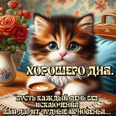 Открытка «Кот»: Пушистик и кофе для чудесного дня. Тэги: животное, пожелание, позитивная, хорошего дня, красивая, кофе…