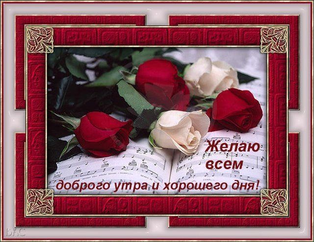 Открытка «С добрым утром»: Музыкальное утро с нежными розами и добрыми пожеланиями. Тэги: пожелание, позитивная…