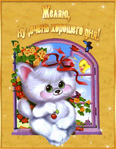 Открытка «Животное»: Пушистый котенок желает очень хорошего дня!. Тэги: пожелание, позитивная, друг, подруга, любимому…