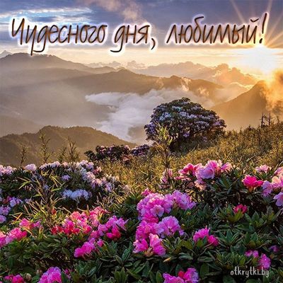 Открытка «Пожелание»: Чудесного дня, любимый! Горный рассвет и цветы.. Тэги: позитивная, хорошего дня, утро, любимому…