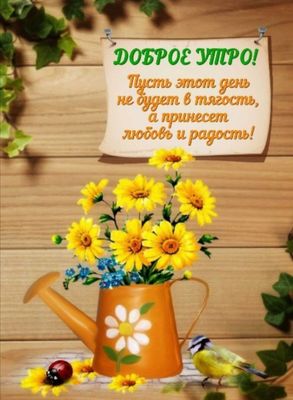 Открытка «С добрым утром»: Пусть утро принесет любовь и радость!. Тэги: пожелание, позитивная, утро, красивая, хороше…