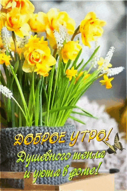 Открытка «С добрым утром»: Доброе утро: весенние нарциссы и душевный уют. Тэги: пожелание, позитивная, красивая…