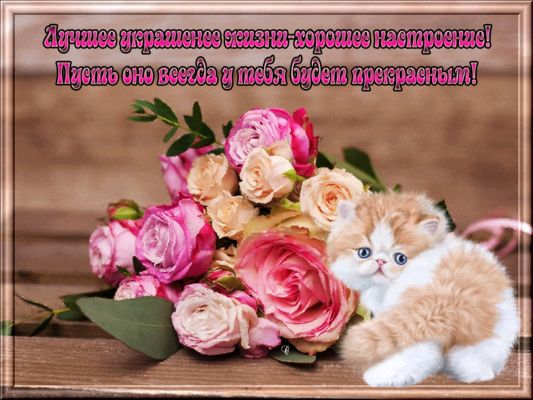 Открытка «С добрым утром»: Прекрасное настроение с милым котёнком и розами. Тэги: кот, животное, пожелание, позитивная…