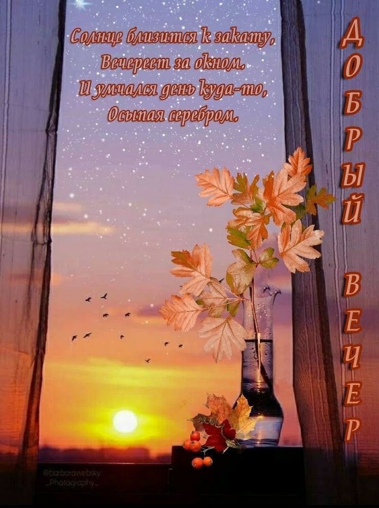 Открытка «Пожелание»: Добрый вечер: осенняя пора заката и стихов. Тэги: красивая, уют, осень, стих, окно, птица…