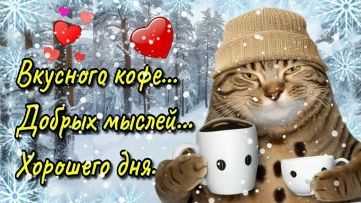 Открытка «С добрым утром»: Вкусного кофе и добрых мыслей от котика!. Тэги: хорошего дня, кот, животное, пожелание…
