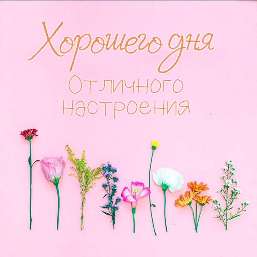 Открытка «Хорошего дня»: Яркого дня и прекрасного настроения с цветами!. Тэги: пожелание, позитивная, отличное настро…