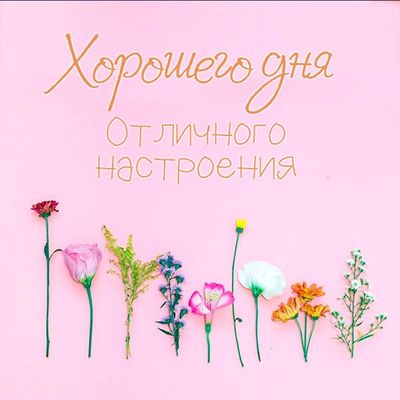 Открытка «Хорошего дня»: Яркого дня и прекрасного настроения с цветами!. Тэги: пожелание, позитивная, отличное настро…