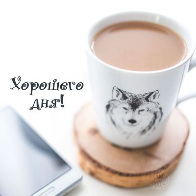 Открытка «Хорошего дня»: Утренний кофе с волком: Хорошего дня!. Тэги: животное, пожелание, позитивная, утро, красивая…