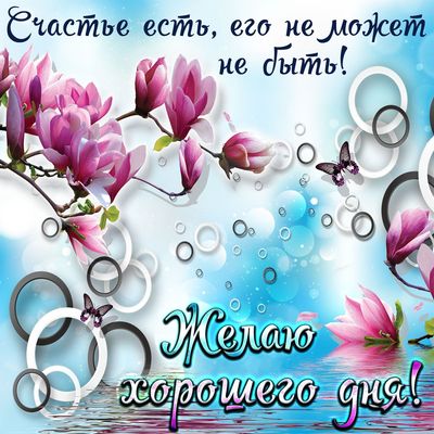 Открытка «С добрым утром»: Магнолии и счастье: прекрасного дня!. Тэги: хорошего дня, пожелание, позитивная, отличное…