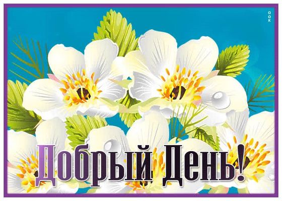 Открытка «Пожелание»: Яркие цветы для доброго дня. Тэги: позитивная, красивая, радость, цветок, нежная, весна, лето…