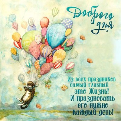 Открытка «Добрый день»: Доброго дня: Празднуй жизнь с летающим котом!. Тэги: Добрый день и добрые пожелания, Добрый д…
