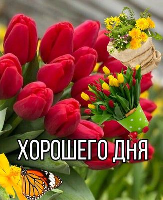 Открытка «С добрым утром»: Доброе утро и прекрасного дня с весенними цветами. Тэги: хорошего дня, пожелание, позитивн…