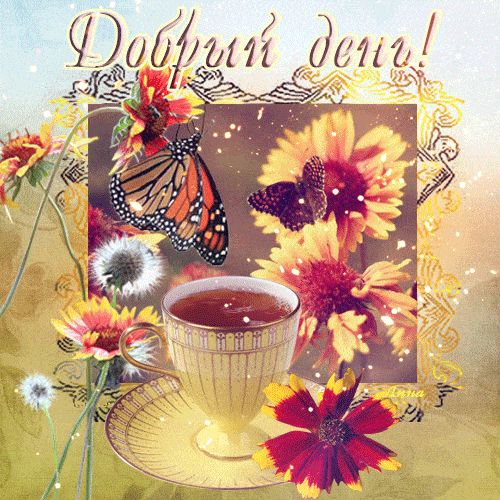 Открытка «Хорошего дня»: Добрый день: Цветочная нежность и аромат чая. Тэги: пожелание, позитивная, утро, красивая…