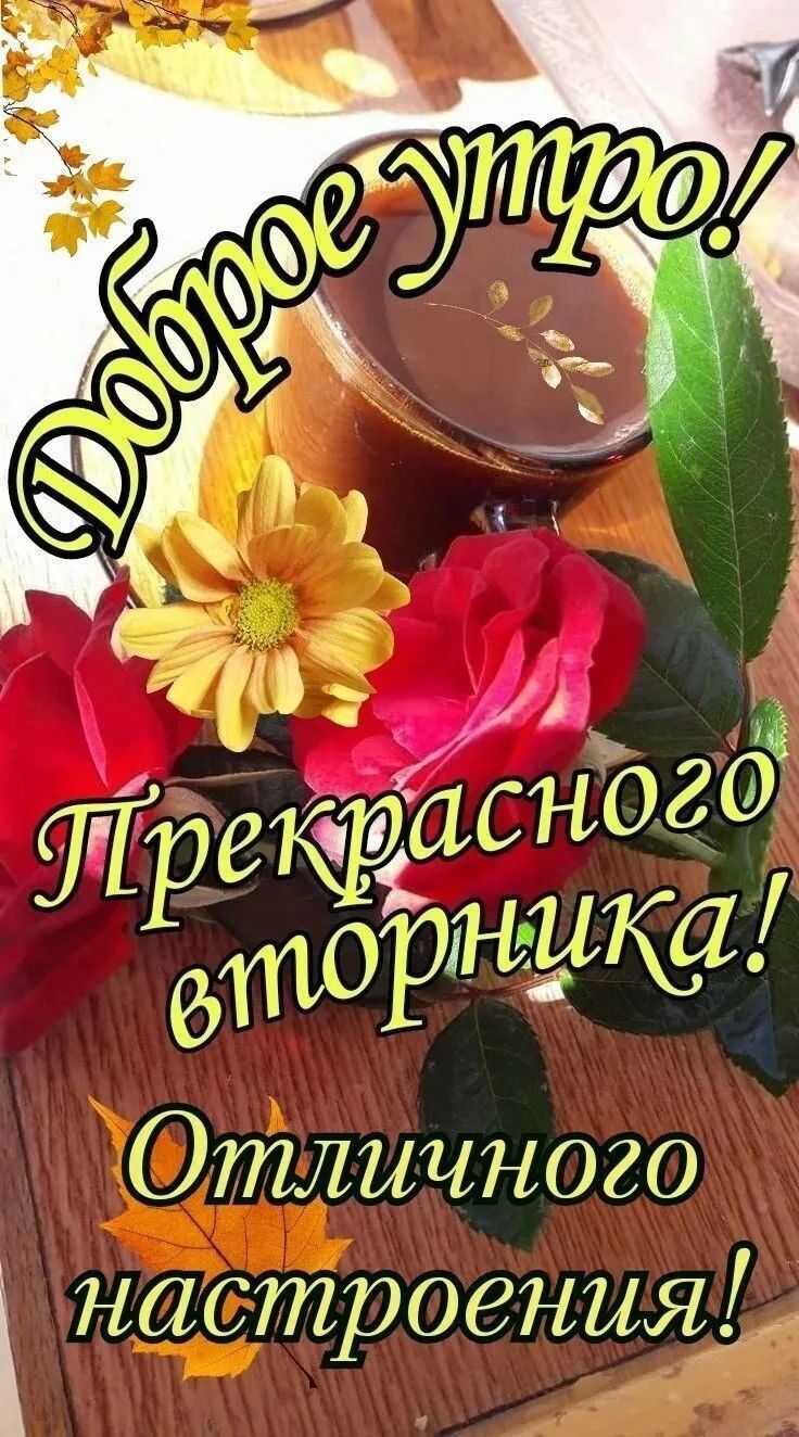 Открытка «С добрым утром»: Теплое доброе утро: кофе, цветы и отличный вторник!. Тэги: пожелание, позитивная, утро…