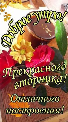 Открытка «С добрым утром»: Теплое доброе утро: кофе, цветы и отличный вторник!. Тэги: пожелание, позитивная, утро…