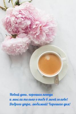 Открытка «С добрым утром»: Доброе утро, любимый! Нежность пионов и кофе. Тэги: пожелание, позитивная, утро, любимому…