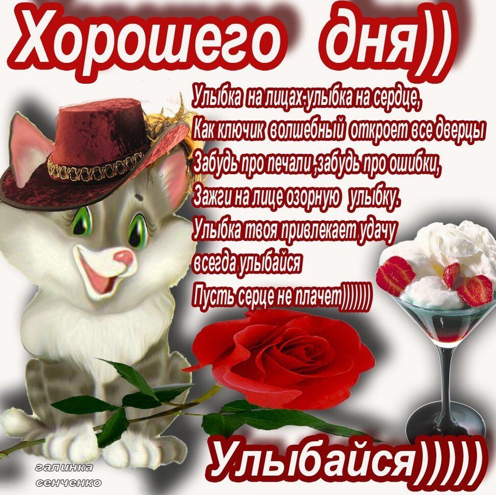 Открытка «Хорошего дня»: Хорошего дня! Улыбайся всегда!. Тэги: кот, животное, пожелание, позитивная, отличное настрое…