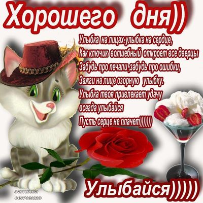 Открытка «Хорошего дня»: Хорошего дня! Улыбайся всегда!. Тэги: кот, животное, пожелание, позитивная, отличное настрое…