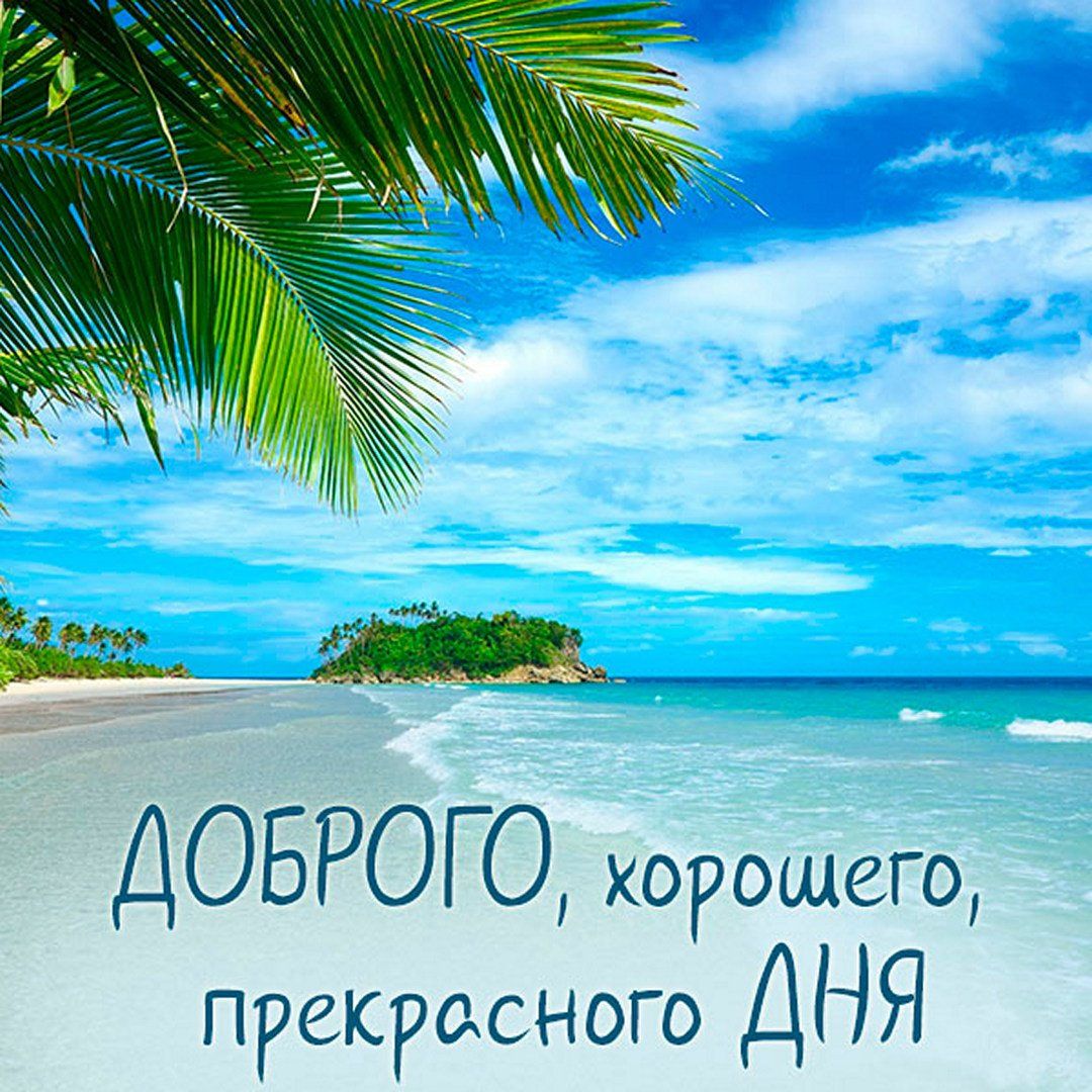 Открытка «Хорошего дня»: Тропический привет: доброго, прекрасного дня!. Тэги: пожелание, позитивная, отличное настрое…