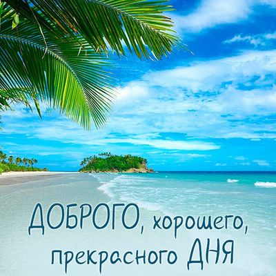 Открытка «Хорошего дня»: Тропический привет: доброго, прекрасного дня!. Тэги: пожелание, позитивная, отличное настрое…