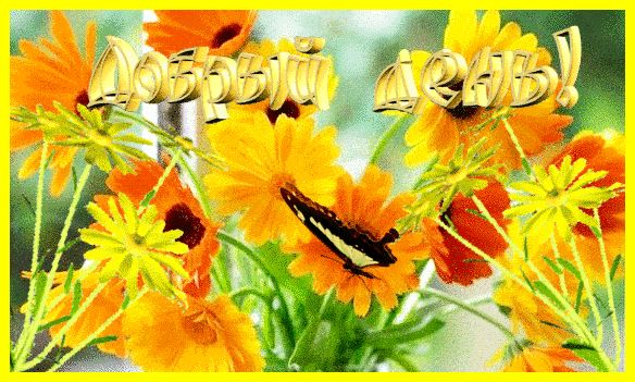 Открытка «Добрый день»: Добрый день: яркие цветы и бабочка. Тэги: анимационный, Добрый день и добрые пожелания…