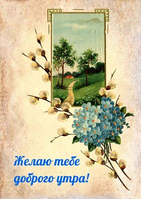 Открытка «С добрым утром»: Нежное весеннее утро: верба и лазурные цветы. Тэги: С добрым весенним утром, С добрым утро…