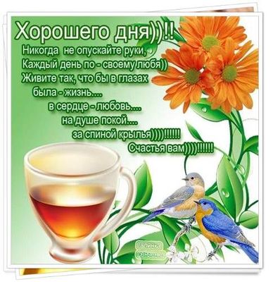 Открытка «Добрый день»: Яркого дня: пусть в сердце будет любовь и крылья!. Тэги: Добрый день и добрые пожелания…